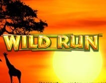 Wild Run